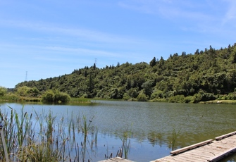 Lake Rotoehu at Otautu Bay - Jetty