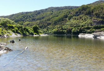 Grey Rv @ Taylorville Swimming Hole 2017