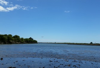 Buller Rv @ Marrs Beach (1)