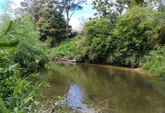 Ngunguru River at Coalhill Lane Ngunguru River at Coalhill Lane (1)