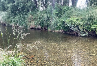 Hinds River at Poplar Road (1)