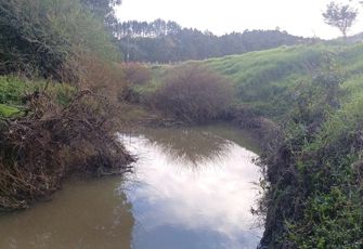 Ruakaka at Flyger Road