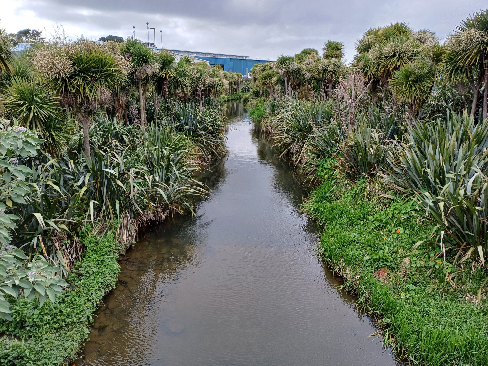 Puhinui Stream