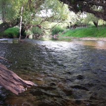 Motu River