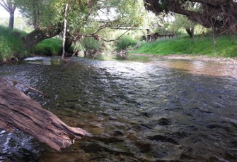 Motu River at Kotare Station Bridge