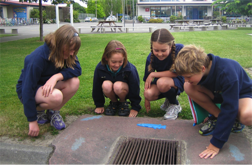 Fish in Drains