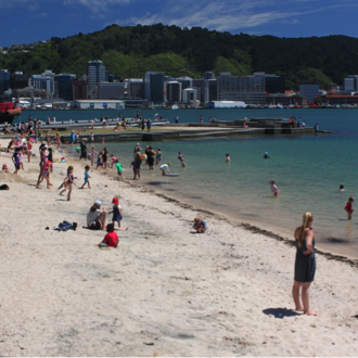 Wellington Region