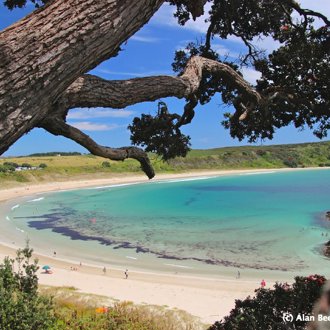 Northland region
