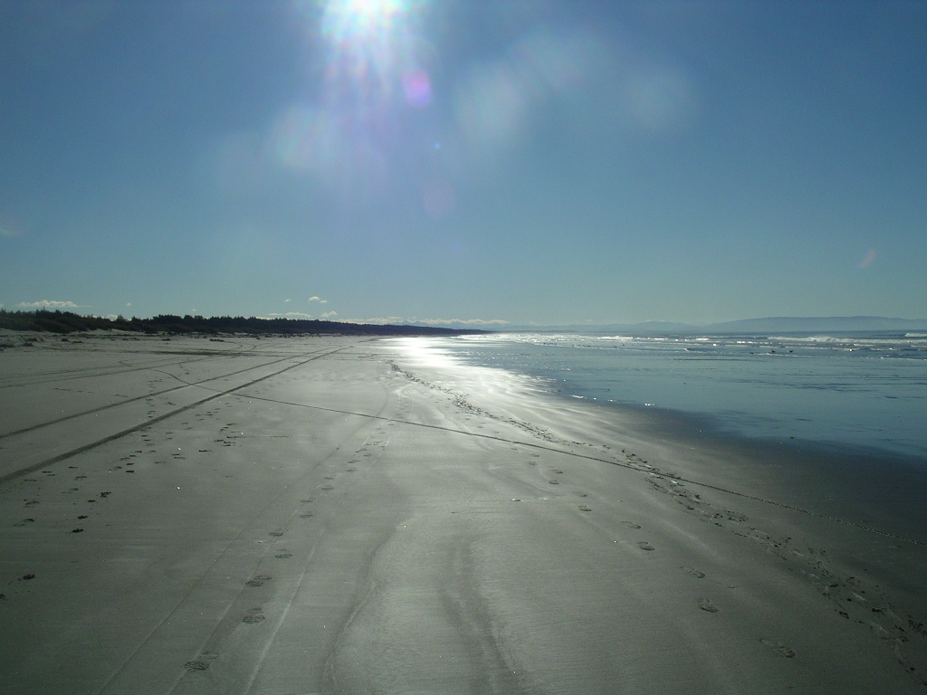 Land, Air, Water Aotearoa (LAWA) Pines Beach