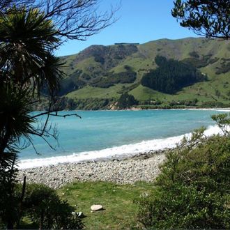 Nelson region