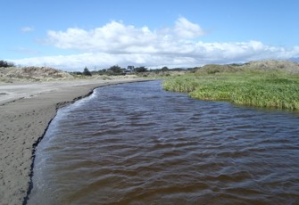 Hokio Estuary at Muaupoko St Bridge