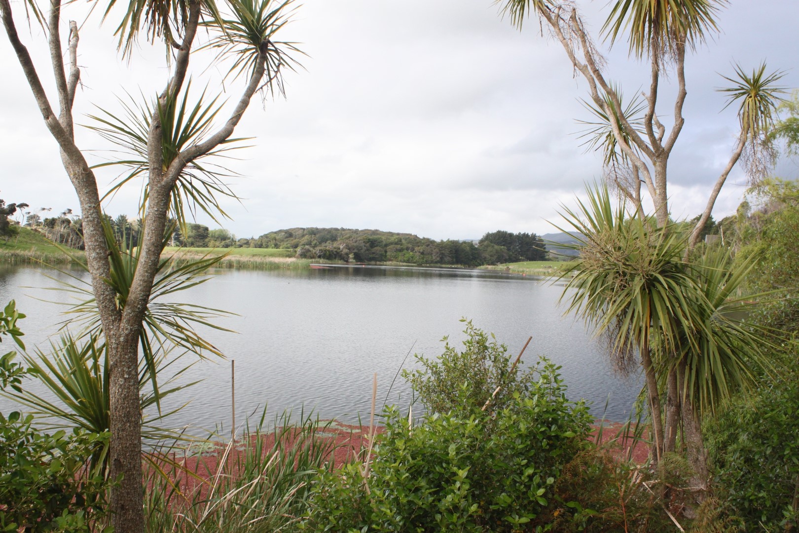 Lake Waitawa