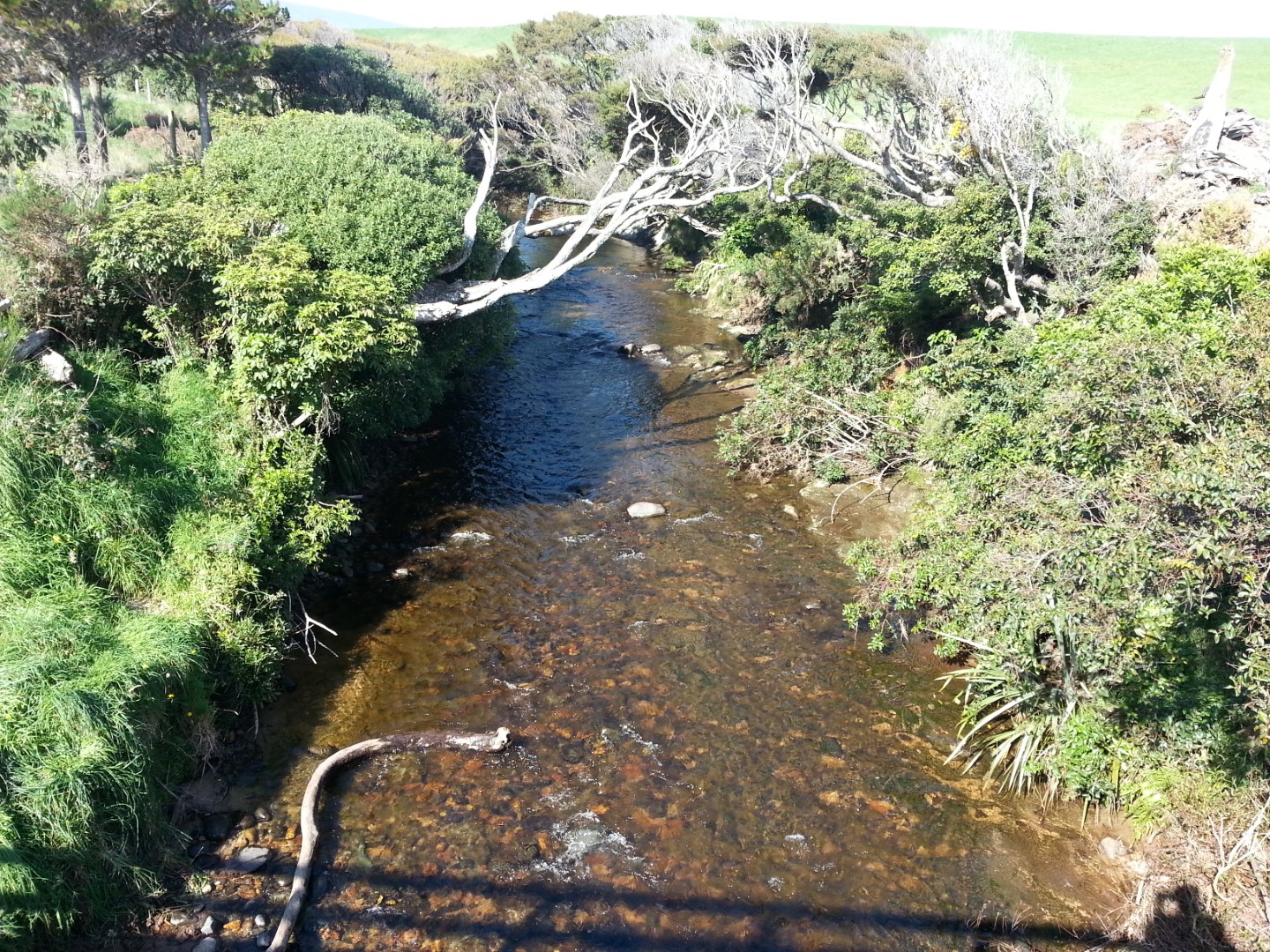 Waimeamea  River