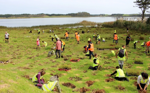 People planting by lake's edge.