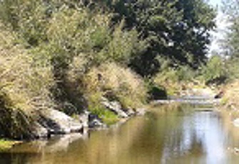 Moutere at Riverside.jpg