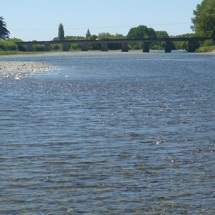 Waimea River