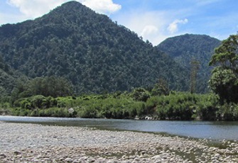 Aorere at Le Comte.jpg