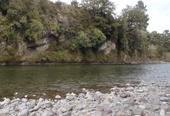Buller at Longford.jpg