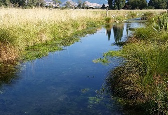 Neimann Creek.jpg