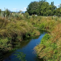 Borck Creek