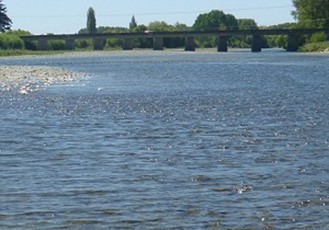 Waimea River at SH60 Appleby.jpg