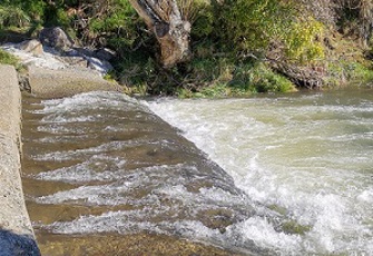 Onekaka at Shambala Br.jpg