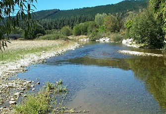 Motupiko at 250m u-s Motueka Rv.jpg