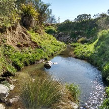 Reservoir Creek