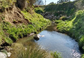 Reservoir Ck.jpg