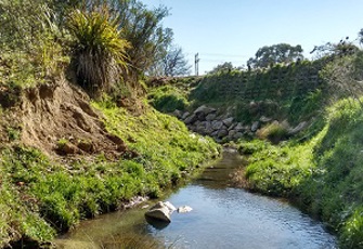 Reservoir Creek at 20m d-s Salisbury Rd.jpg