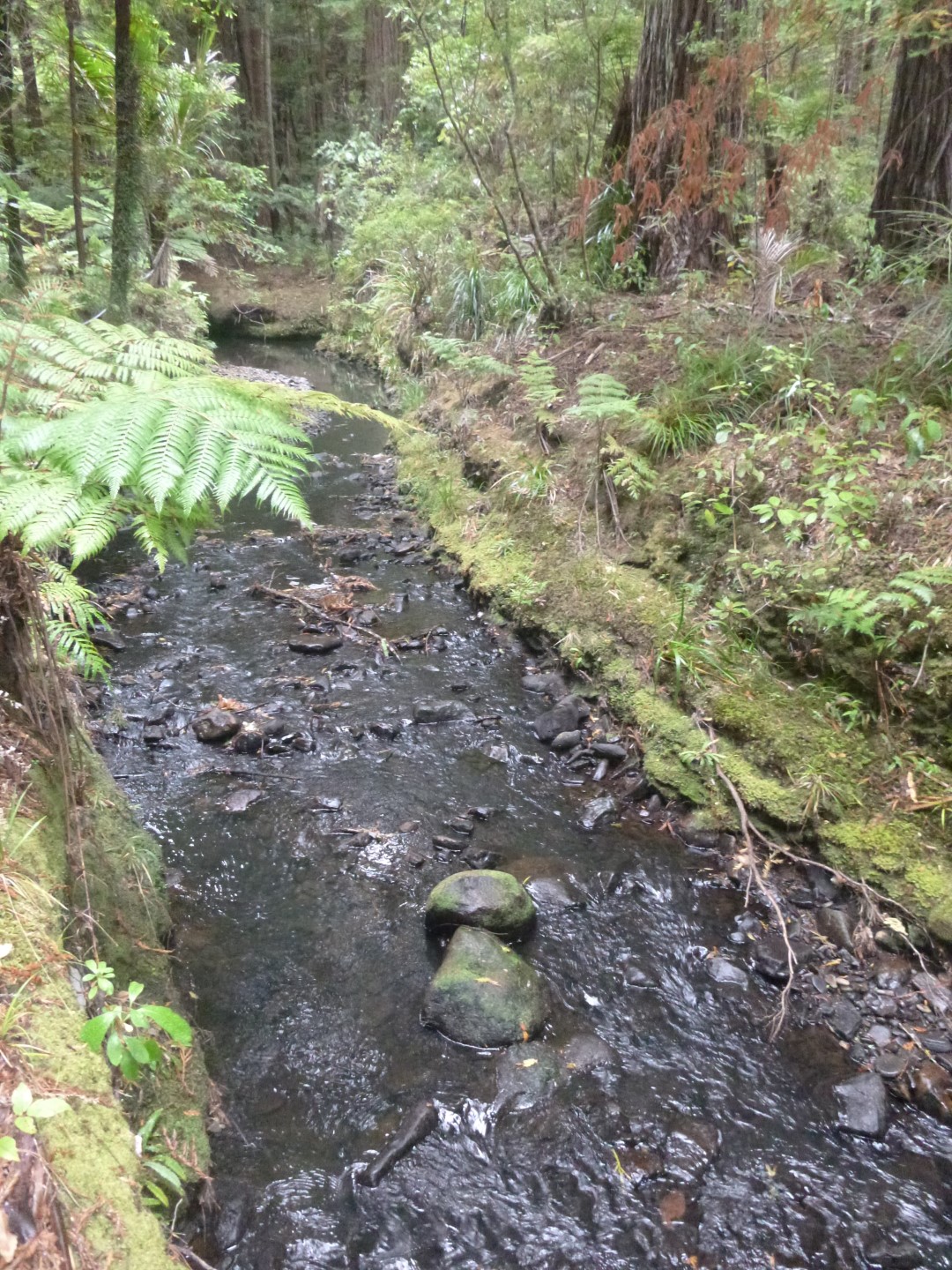 Tawatawa Stream