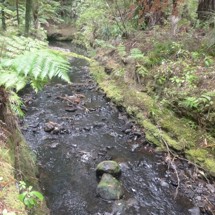 Tawatawa Stream