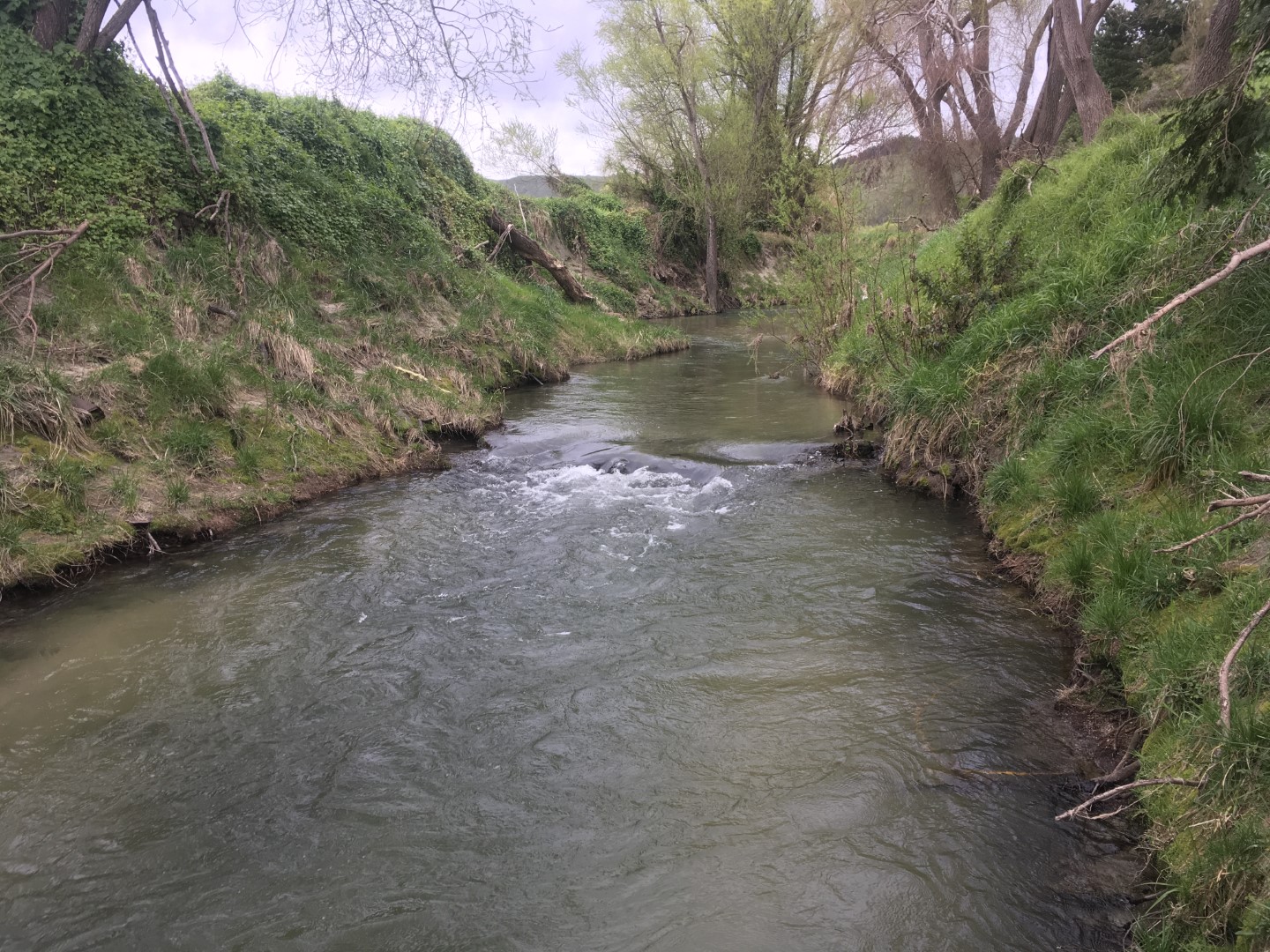 Te Ngarue Stream