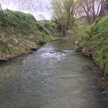 Te Ngarue Stream