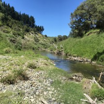 Waihua River