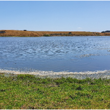 Lake Waipū