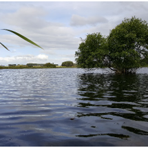 Lake Koitiata