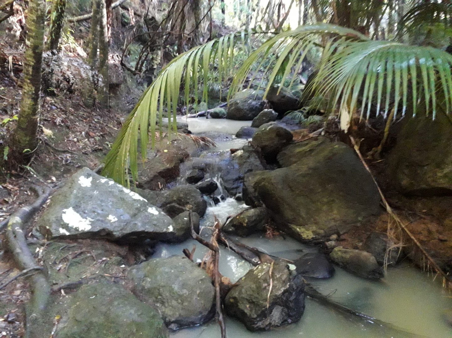 Cascades Stream (Waiheke Island)