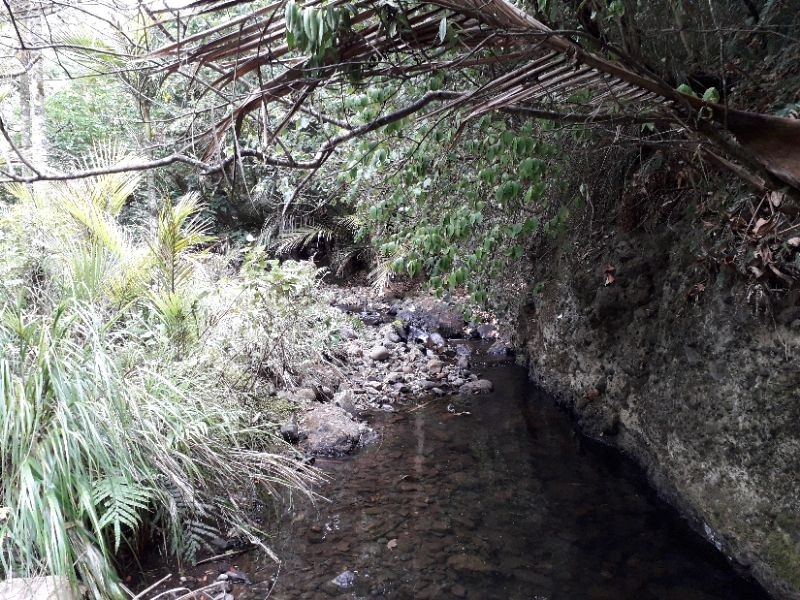 Marawhara Stream