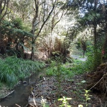 Orere River