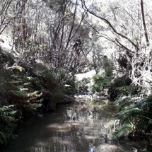 Dyers Creek North