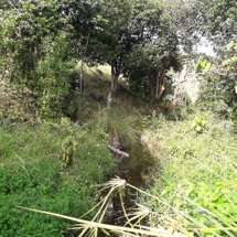 Motutapu Island