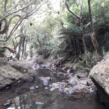 Wekatahi Creek