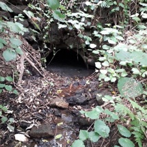 Edgars Creek