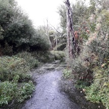 Meola Creek