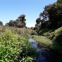 Tararata Creek
