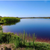 Lake Rotopokaka