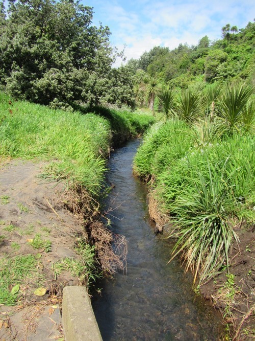 Herekawe Stream