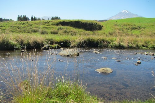 Kapoaiaia Stream