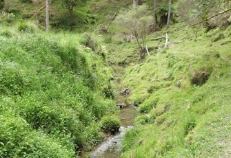 TNH0000090.jpg